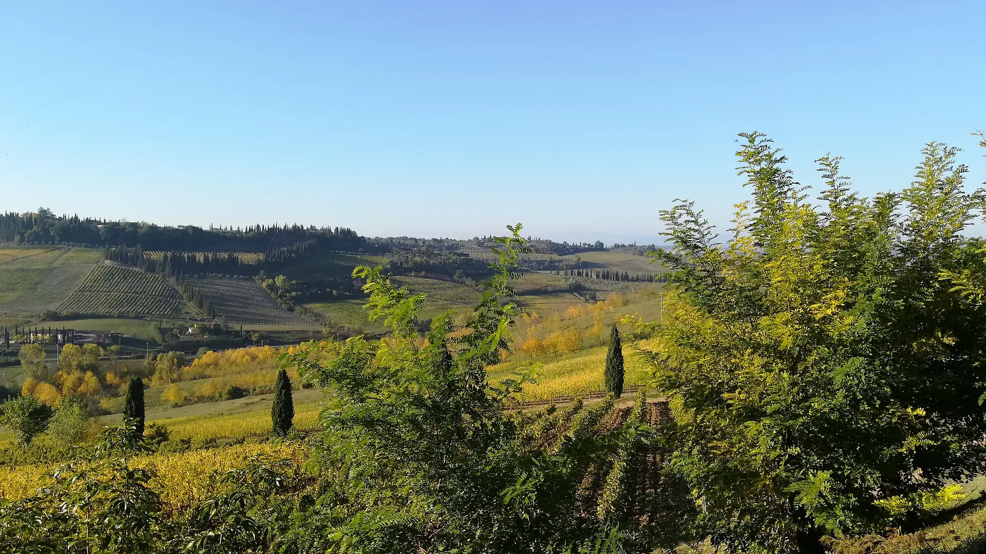 Poderi Arcangelo San Gimignano 0*,