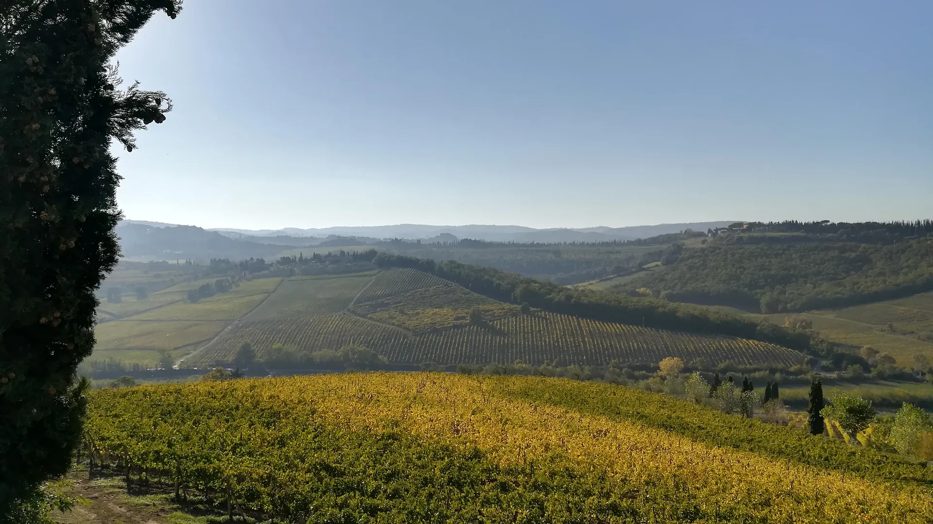 Poderi Arcangelo San Gimignano